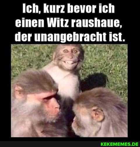 Ich, kurz bevor ich einen Witz raushaue, der unangebracht ist.