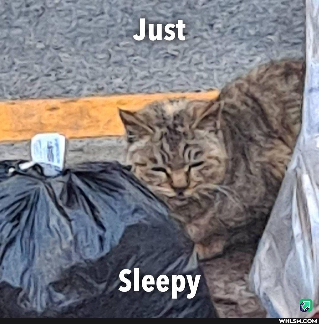 Just
Sleepy