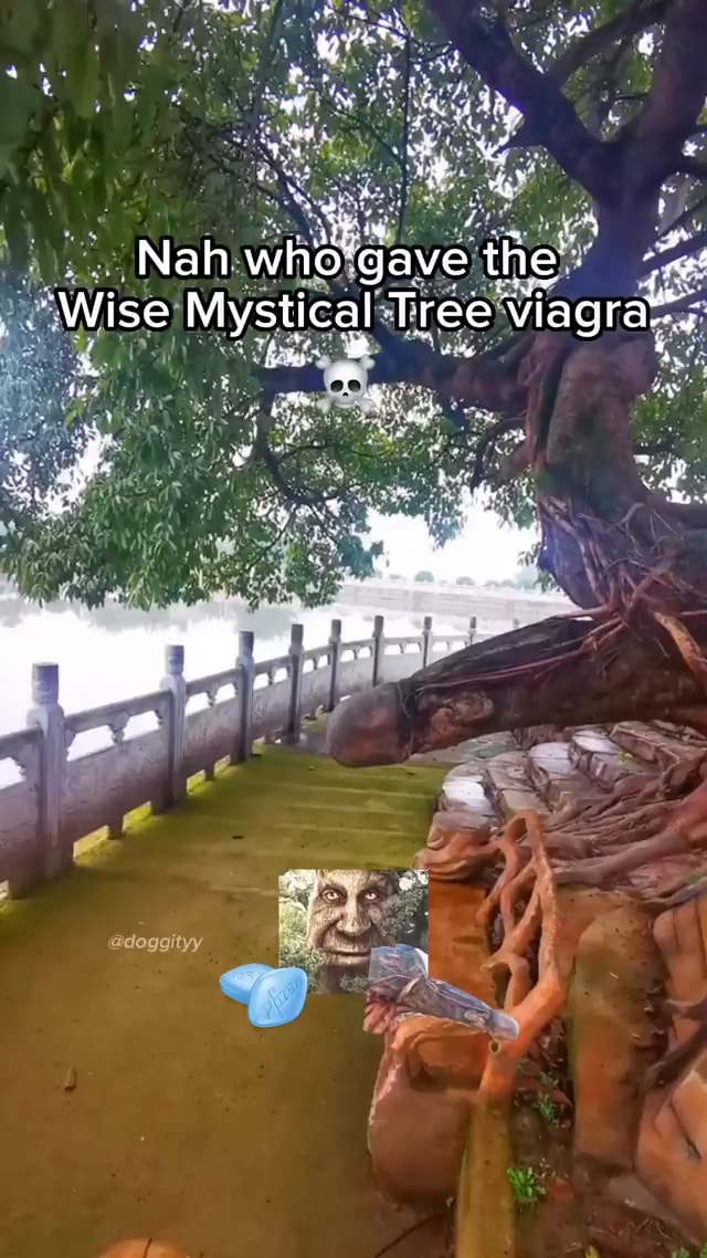 Wise Mystical Tree (Meme)