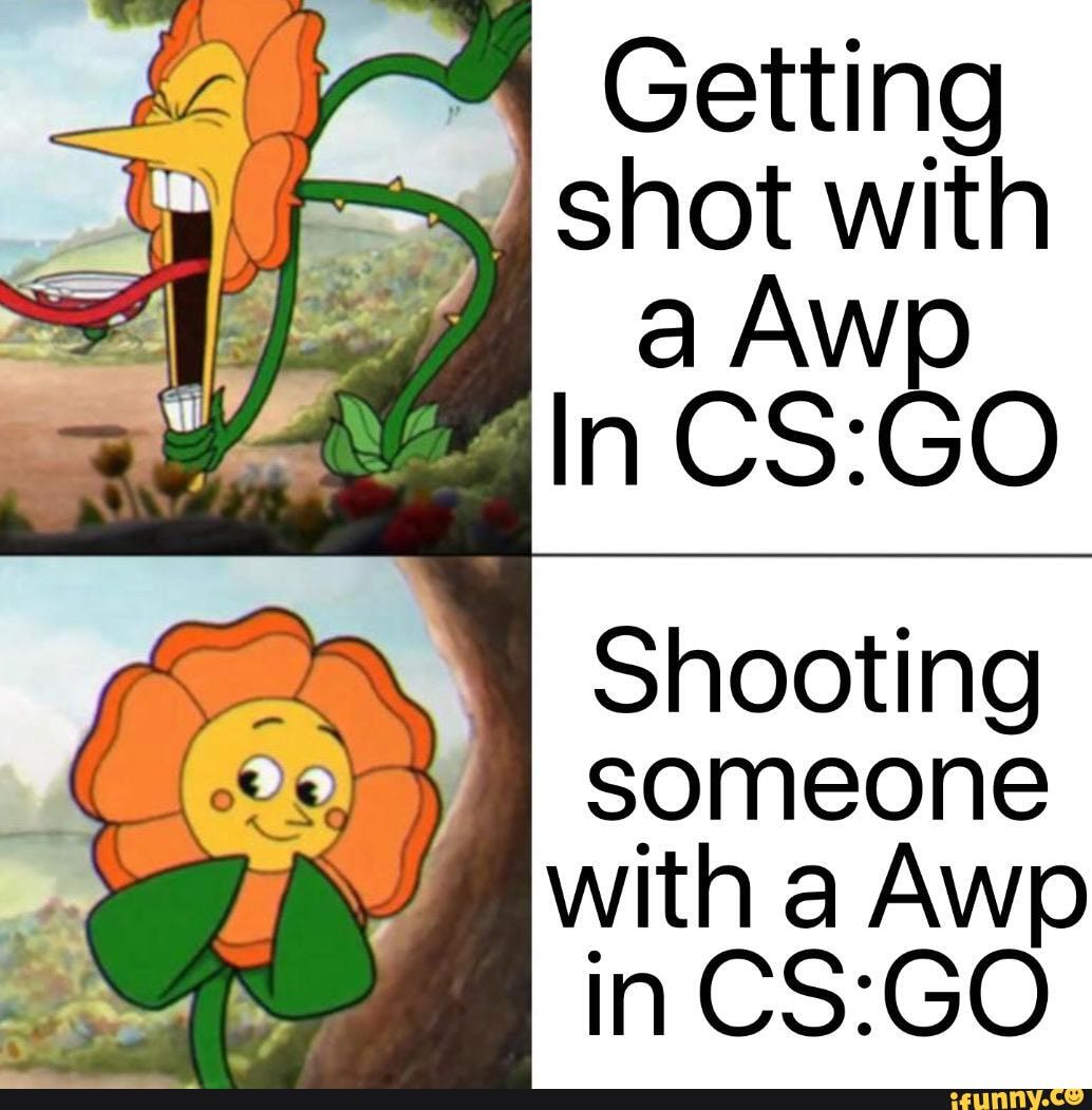 Getting shot with
someone with a Awp in