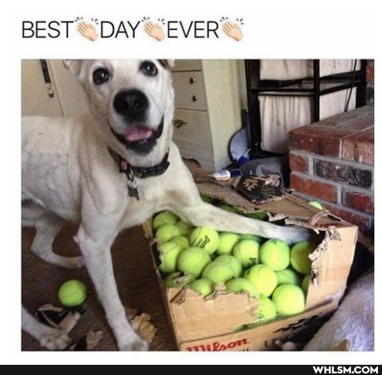 BEST "DAY "EVER