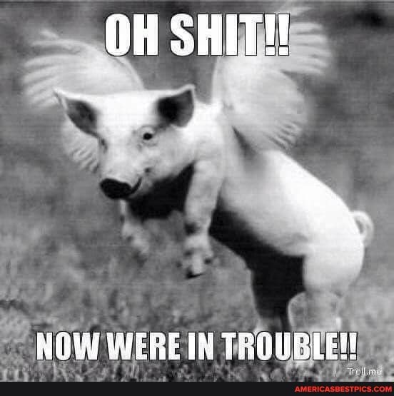 OH SHIT!
NOW WERE IN TROUELER