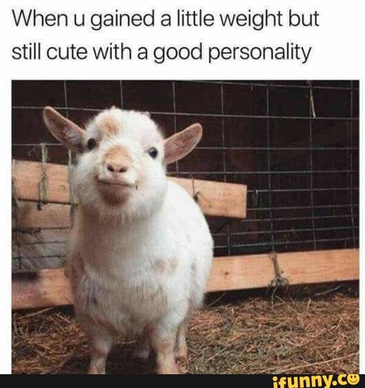 When u gained a little weight but
still cute with a good personality