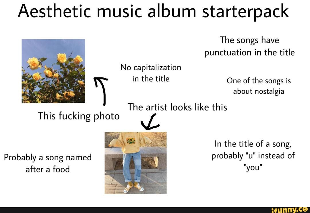 Aesthetic music album starterpack The songs have