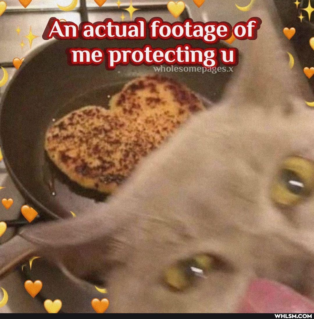 vA
An actual footage of me protecting
gwholesomepages.x