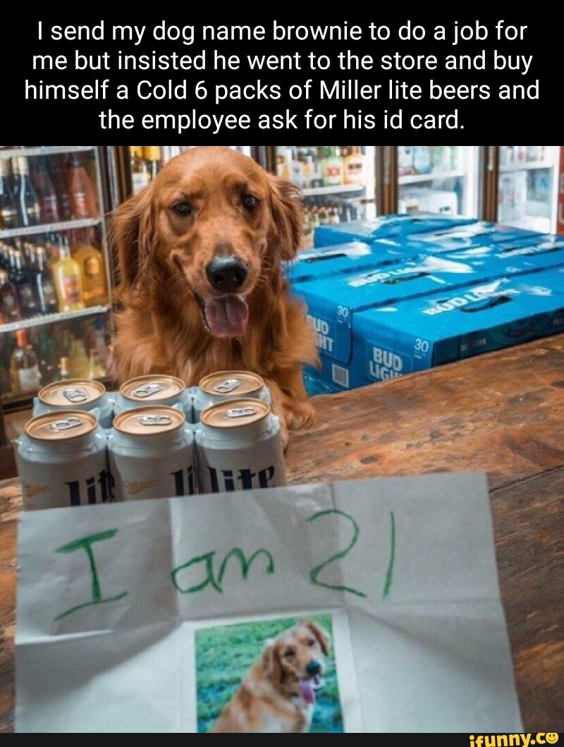 Drunkupdog memes. Best Collection of funny Drunkupdog pictures on iFunny