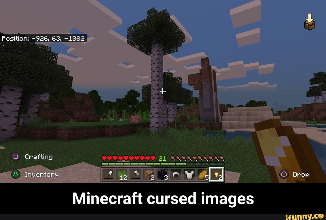 E i cent Minecraft cursed images - Minecraft cursed images - iFunny