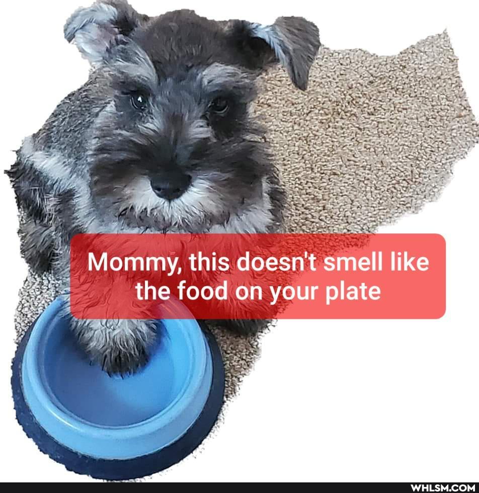 AG
Mommy, this doesn't smell like the food on your plate