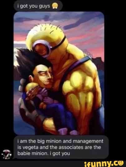 Got You Guys Jam The Big Minion And Management Is Vegeta And The Associates Are The Babe