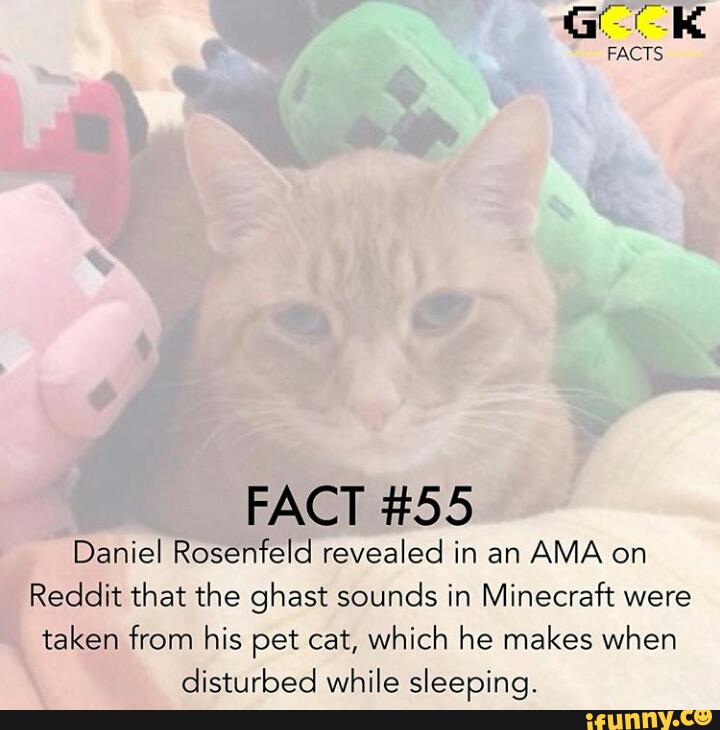 Fact 55 Daniel Rosenfeld Revealed In An Ama On Reddit That The Ghast Sounds In Minecraft Were Taken From His Pet Cat Which He Makes When Disturbed While Sleeping Fact 55 Daniel Rosenfeld Revealed In An Ama On Reddit That The Ghast Sounds In Minecraft Were Taken From His Pet Cat Which He Makes When Disturbed While Sleeping