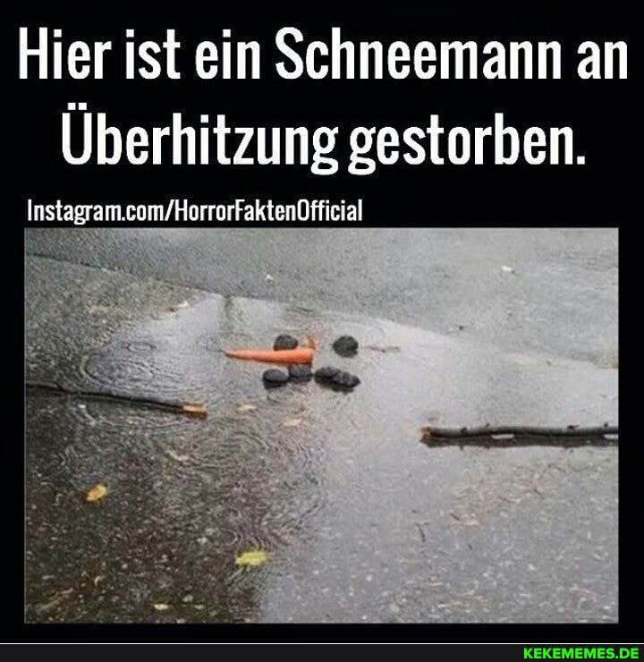 Hier ist ein Schneemann an
Überhitzung gestorben.