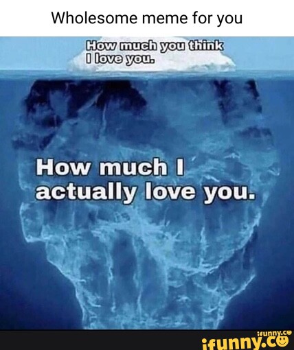 I Love You Dis Much Meme