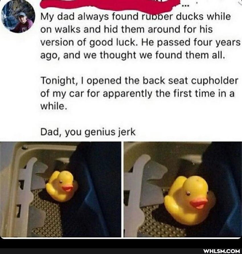 My dad always found rumser ducks while
on walks and hid them around for his version of good luck. He passed four years ago, and we thought we found them all.
Tonight, I opened the back seat cupholder of my car for apparently the first time ina while.
Dad, you genius jerk