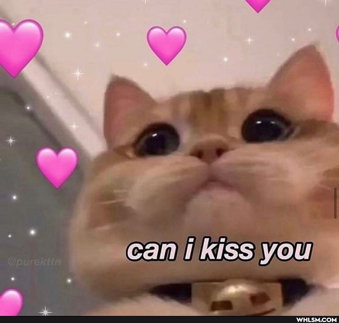 cai kiss you