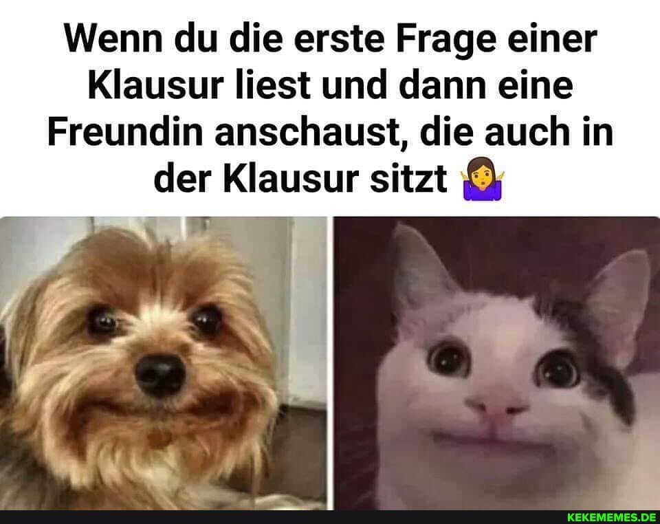 Wenn du die erste Frage einer
Klausur liest und dann eine
Freundin anschaust, die auch in der Klausur sitzt
