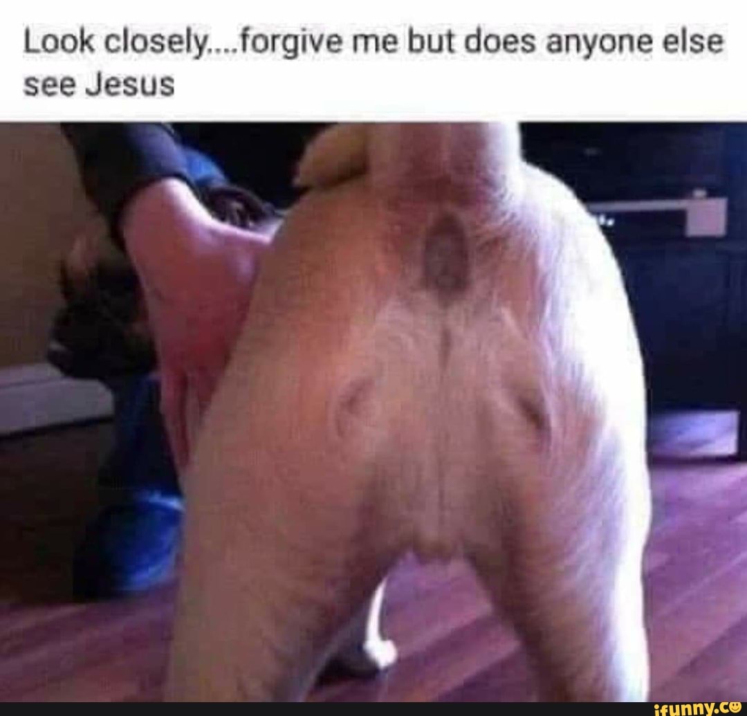 Look closely....forgive me but does anyone else see Jesus