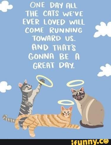 ONE DAY ALL THE CATS we'VE EVER LOVED wiLL COME RUNNING TOWARD US. AND ...