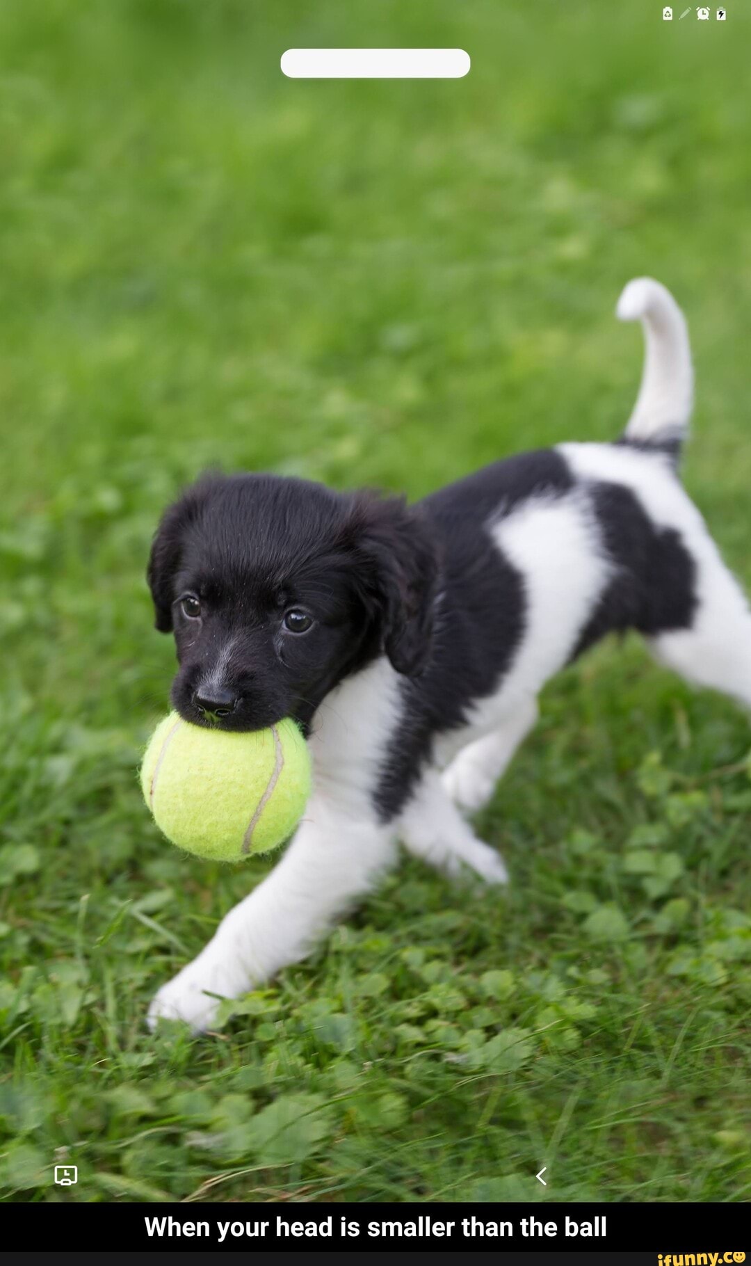 When your head is smaller than the ball - When your head is smaller than the ball
