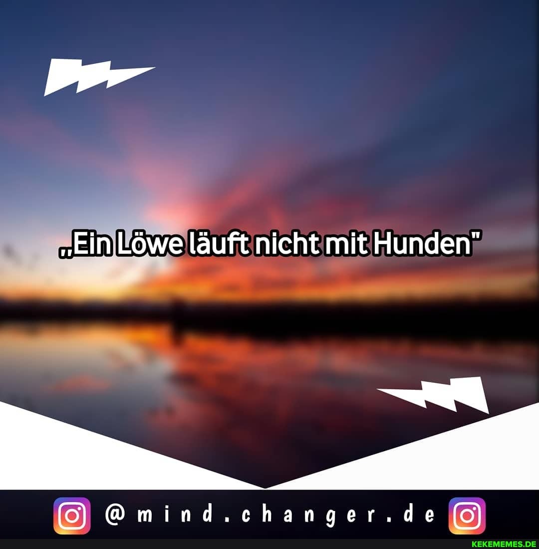 "Ein Löwe läuft nicht mit Hunden"
6) @mind.changer.de (o)