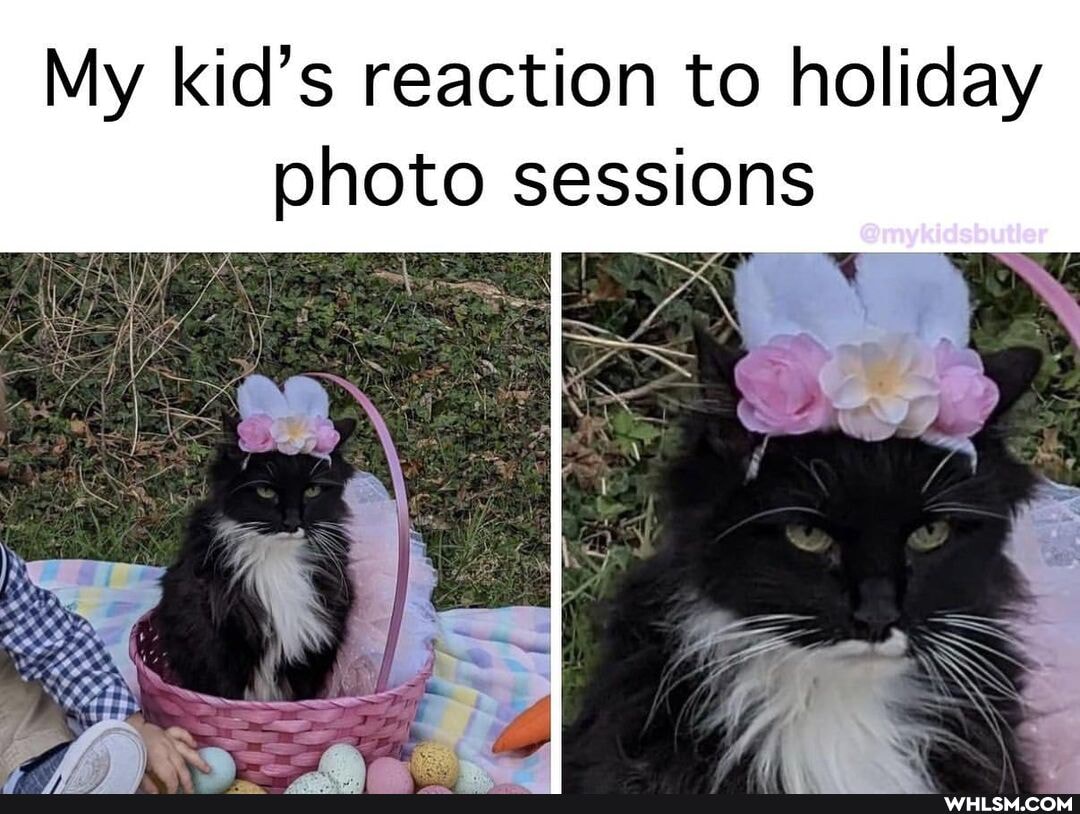 My kid's reaction to holiday
photo sessions
Omykid