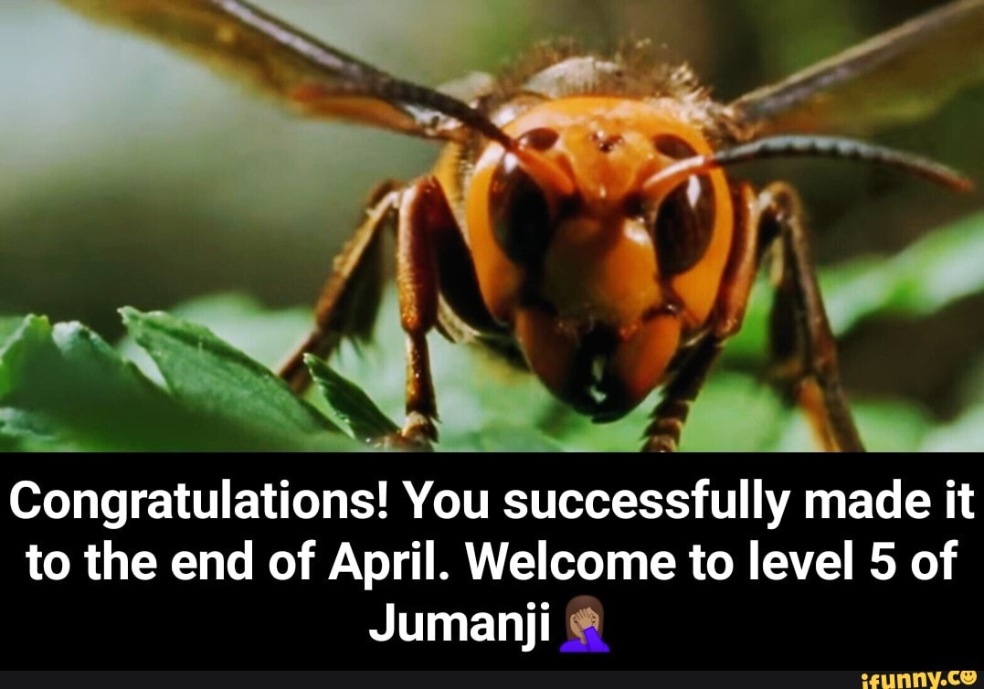 Congratulations! You successfully made it
to the end of April. Welcome to level 5 of
Jumanji © - Congratulations! You successfully made it to the end of April. Welcome to level 5 of Jumanji🤦🏽