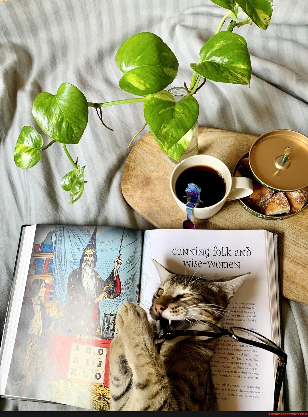 CUNNING foLk and
Wise-WomeNn