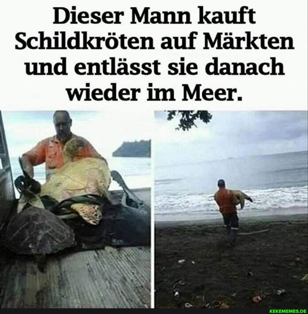 Dieser Mann kauft
Schildkröten auf Märkten und entlässt sie danach wieder im Meer.