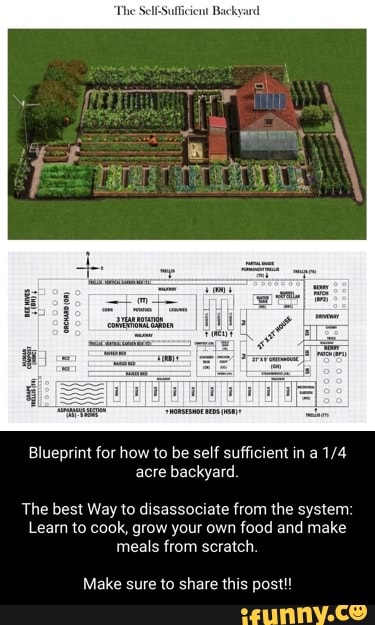 The Self-Sufficient Backyard Blueprint for how to be self sufficient in ...