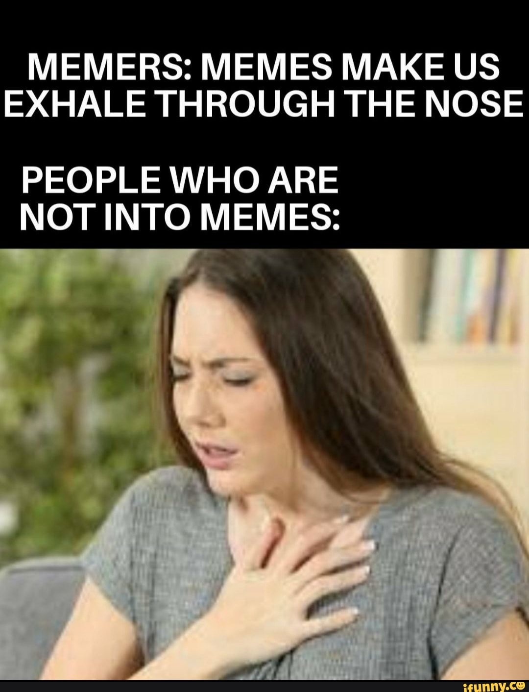 MEMERS: MEMES MAKE US EXHALE THROUGH THE NOSE PEOPLE WHO ARE NOT INTO ...