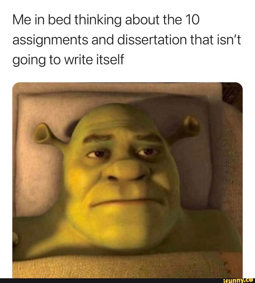 Me in bed thinking about the 10 assignments and dissertation that isn't
going to write itself