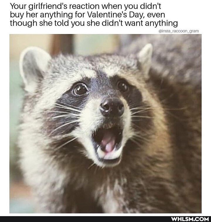 Your girlfriend's reaction when you didn't buy her anything for Valentine's Day, even though she told you she didn't want anything
@inst