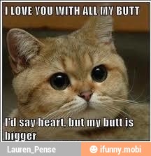 1 LOVE VOU WITH ALL MY BUTT