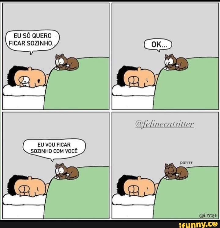 EU SÓ QUERO FICAR SOZINHO.
EU VOU FICAR SOZINHO COM VOCÊ
Ofelinecalsitter
purrrr
Miizcat