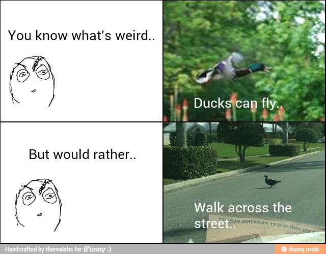 You know what's weird..
But would rather..