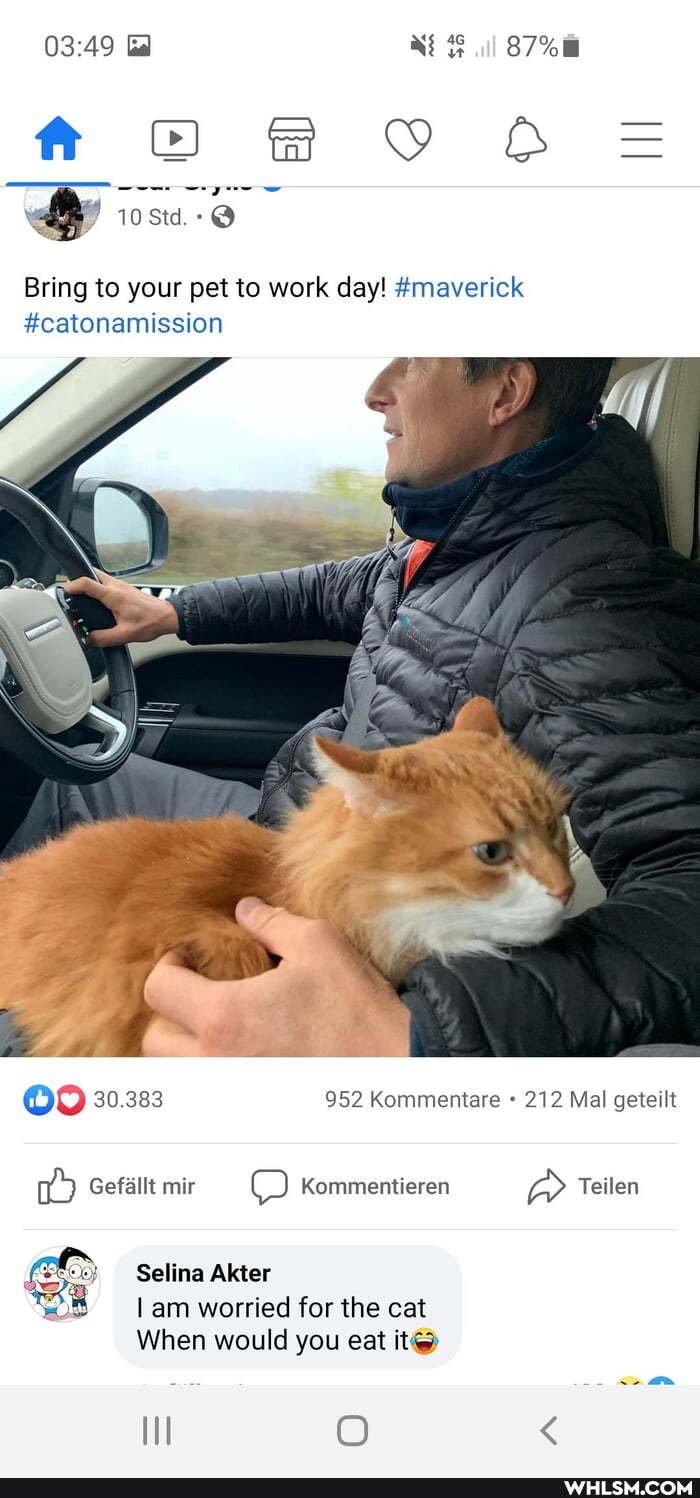 ff Of VV
10 Std.
Bring to your pet to work day! #maverick
#catonamission
for
952 Kommentare 212 Mal geteilt
30.383
Gefallt mir Kommentieren Teilen
Selina Akter
am worried for the cat
When would you eat it@