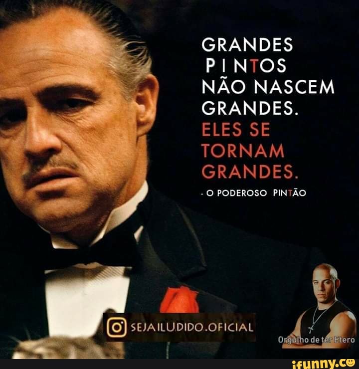 GRANDES
PINTOS
NÃO NASCEM
GRANDES.
TORNAM
GRANDES.
O PODEROSO PINTÃO