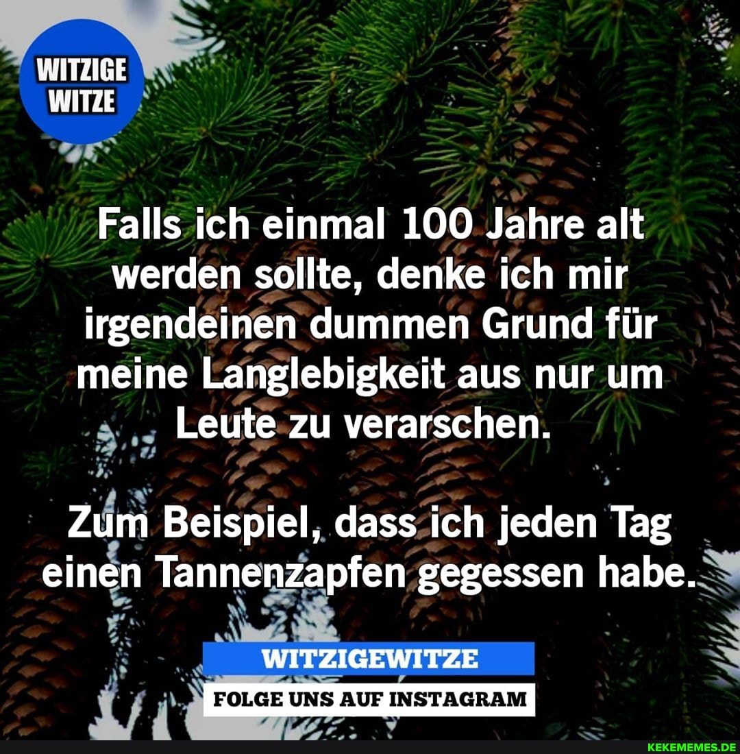 WITZIGE WITZE
Falls ich einmal 100 Jahre alt werden sollte, denke ich mir irgendeinen dummen Grund für meine Langlebigkeit aus nur um
Leute zu verarschen.
Zum Beispiel, dass ich jeden Tag einen Tannenzapfen gegessen habe.
WITZIGEWITZE
FOLGE UNS AUF INSTAGRAM