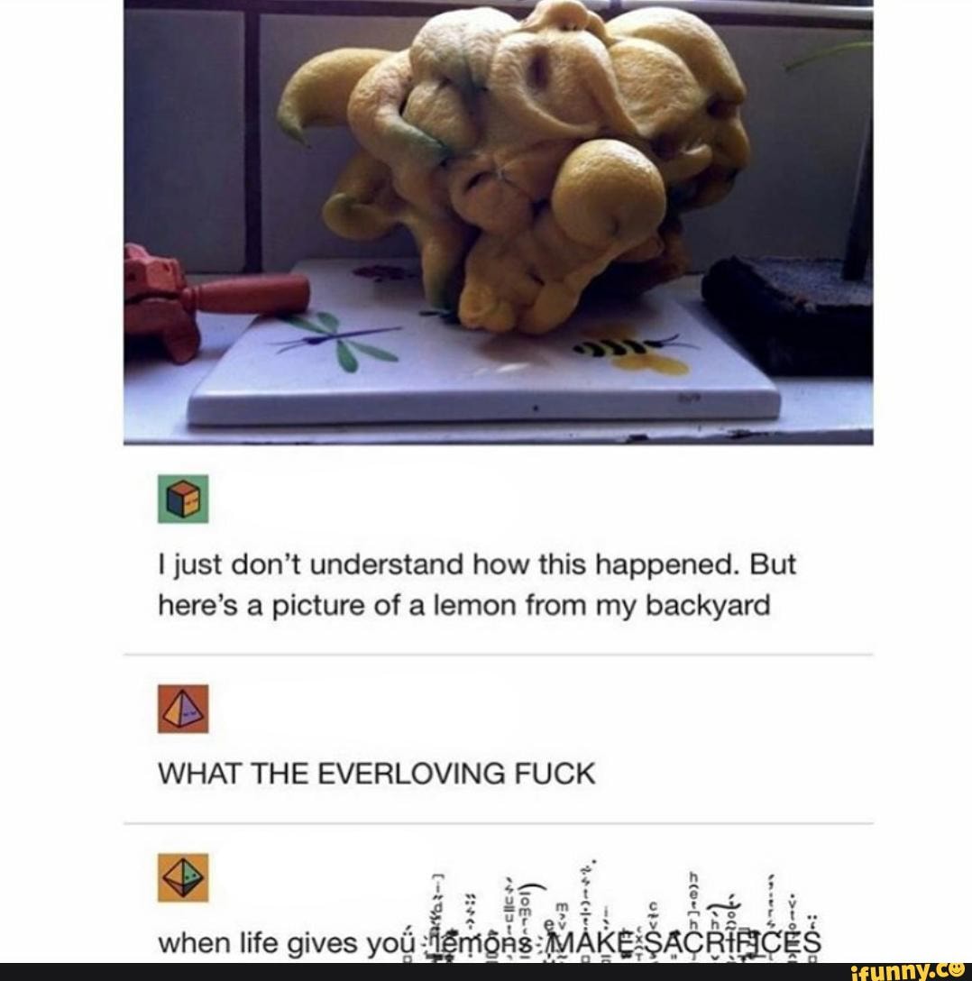 I just don't understand how this happened. But
here's a picture of a lemon from my backyard
WHAT THE EVERLOVING FUCK
g
when life gives yoú figmon