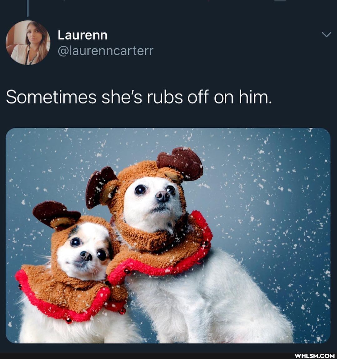 Laurenn
@laurenncarterr
Sometimes she's rubs off on him.