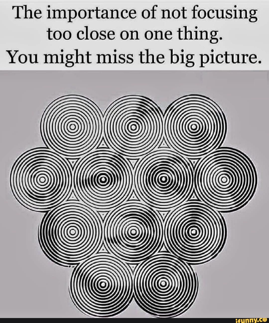 the-importance-of-not-focusing-too-close-on-one-thing-you-might-miss-the-big-picture-ifunny