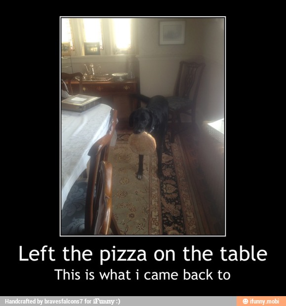Left the pizza on the table
This is what i came back to - Left the pizza on the table
This is what i came back to