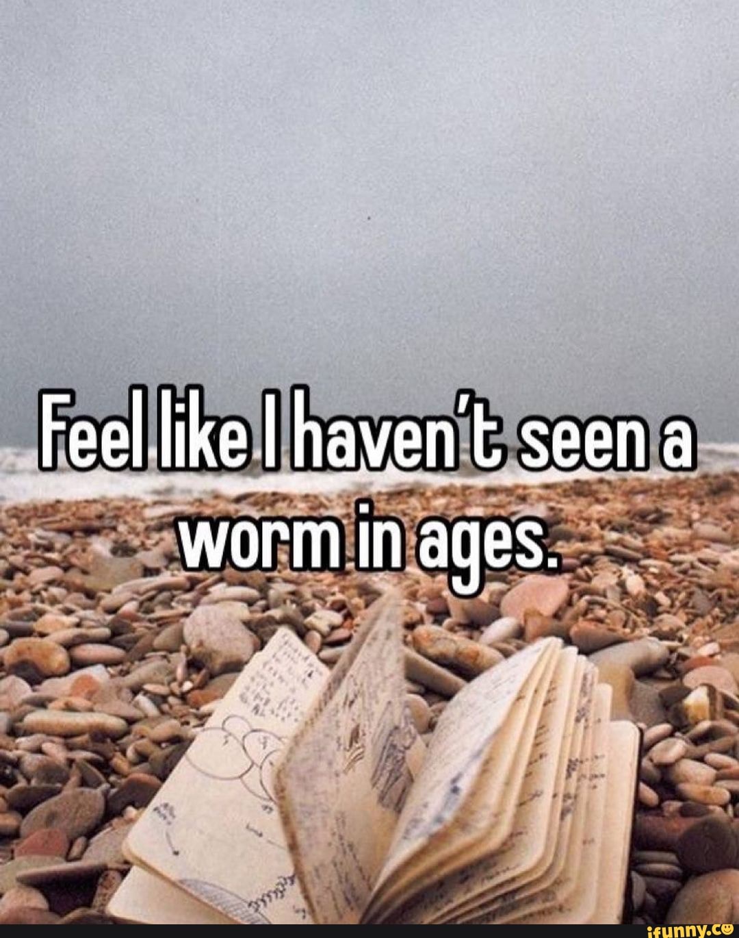 Feel like haven't seena worm in ages.