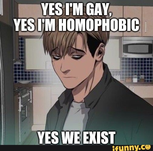 yes i am gay meme