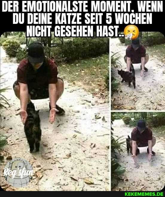 DER EMOTIONALSTE MOMENT. WENN DU DEINE KATZE SEIT 5 WOCHEN NICHT HAST..,