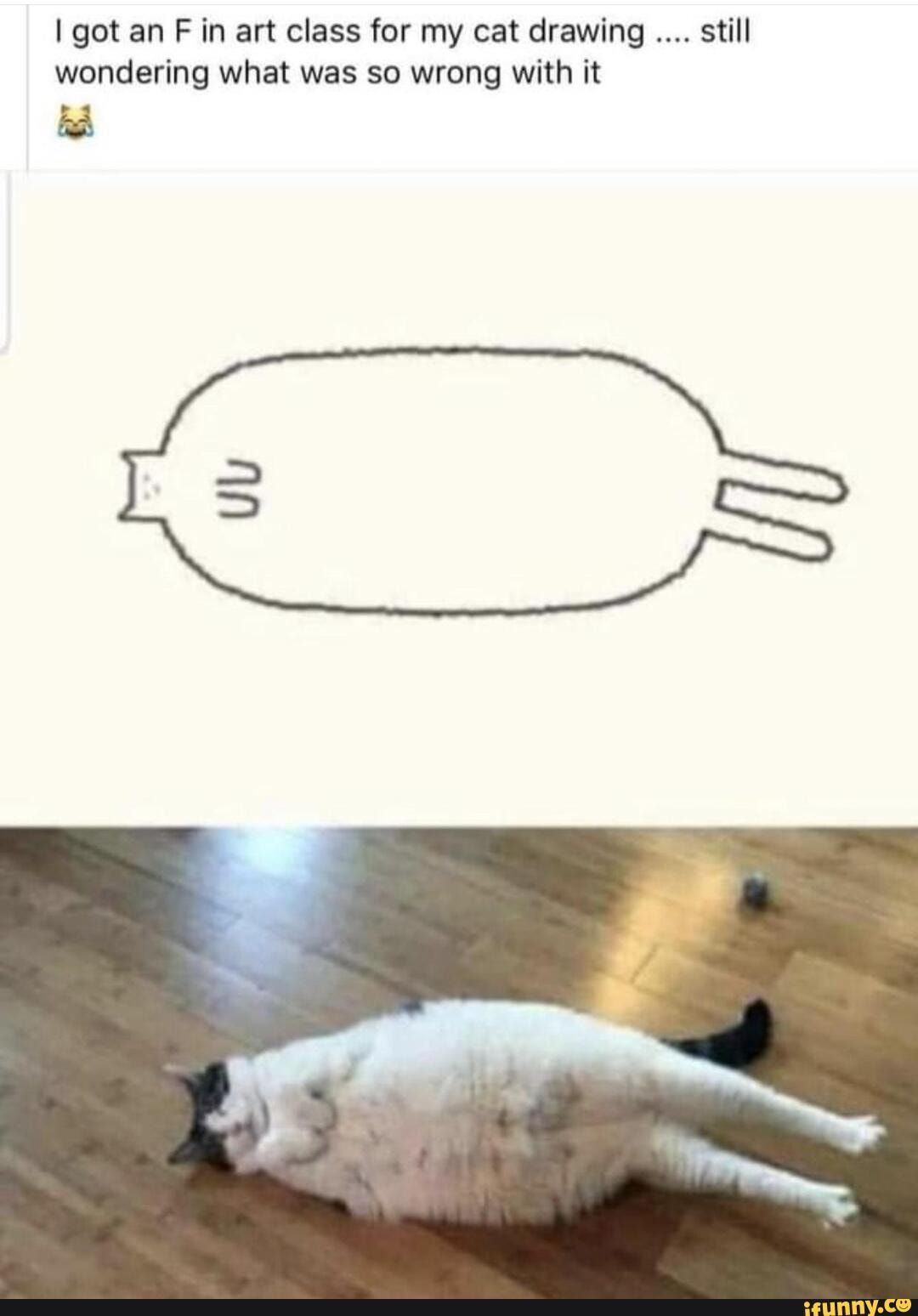 I got an F in art class for my cat drawing still wondering what was so wrong with it
ha