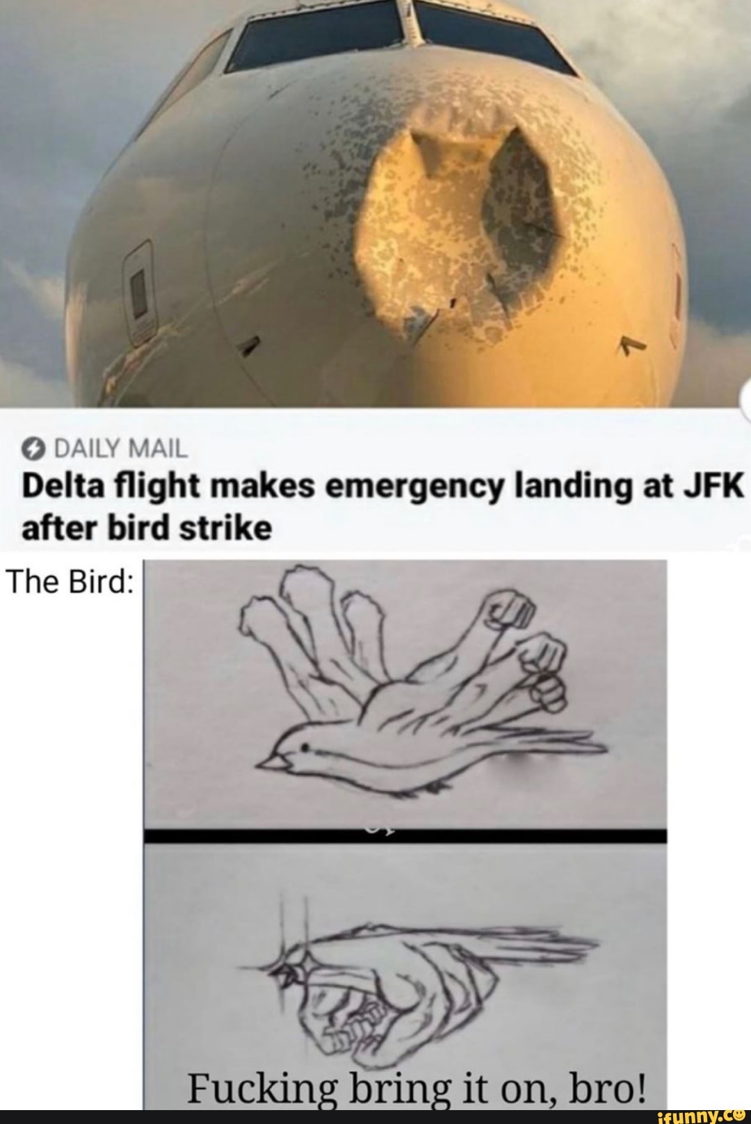 O Daily Mail Delta Flight Makes Emergency Landing At Jfk After Bird Strike The Bird Ifunny