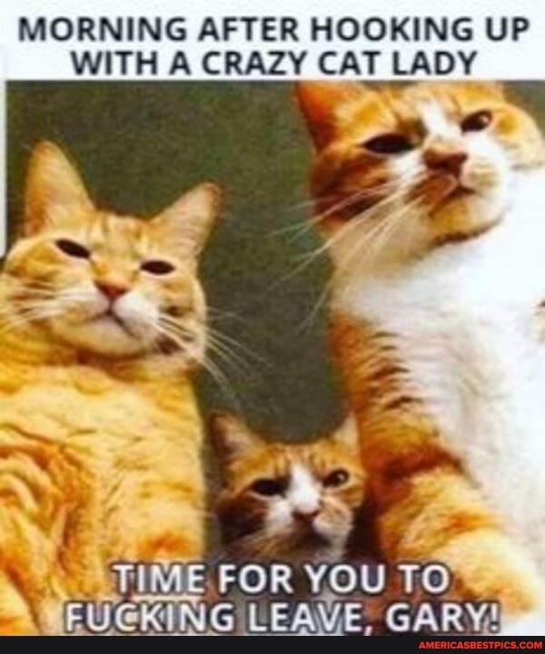 MORNING AFTER HOOKING UP WITH A CRAZY CAT LADY
TIME FOR YOU TO ING LEAVE. GARY!