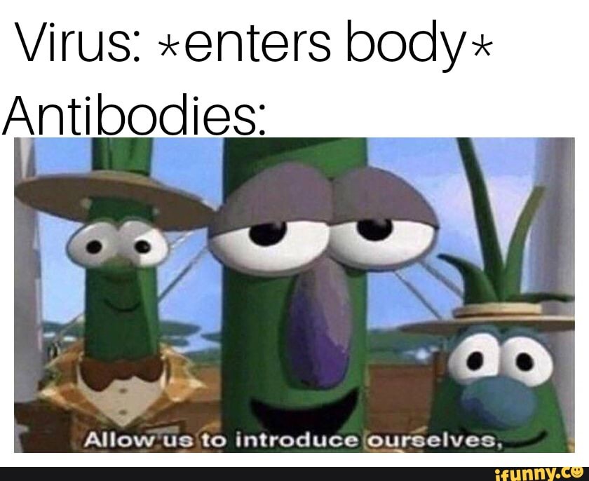Virus *enters body* Antibodies Allow us to introduce ourselves. iFunny