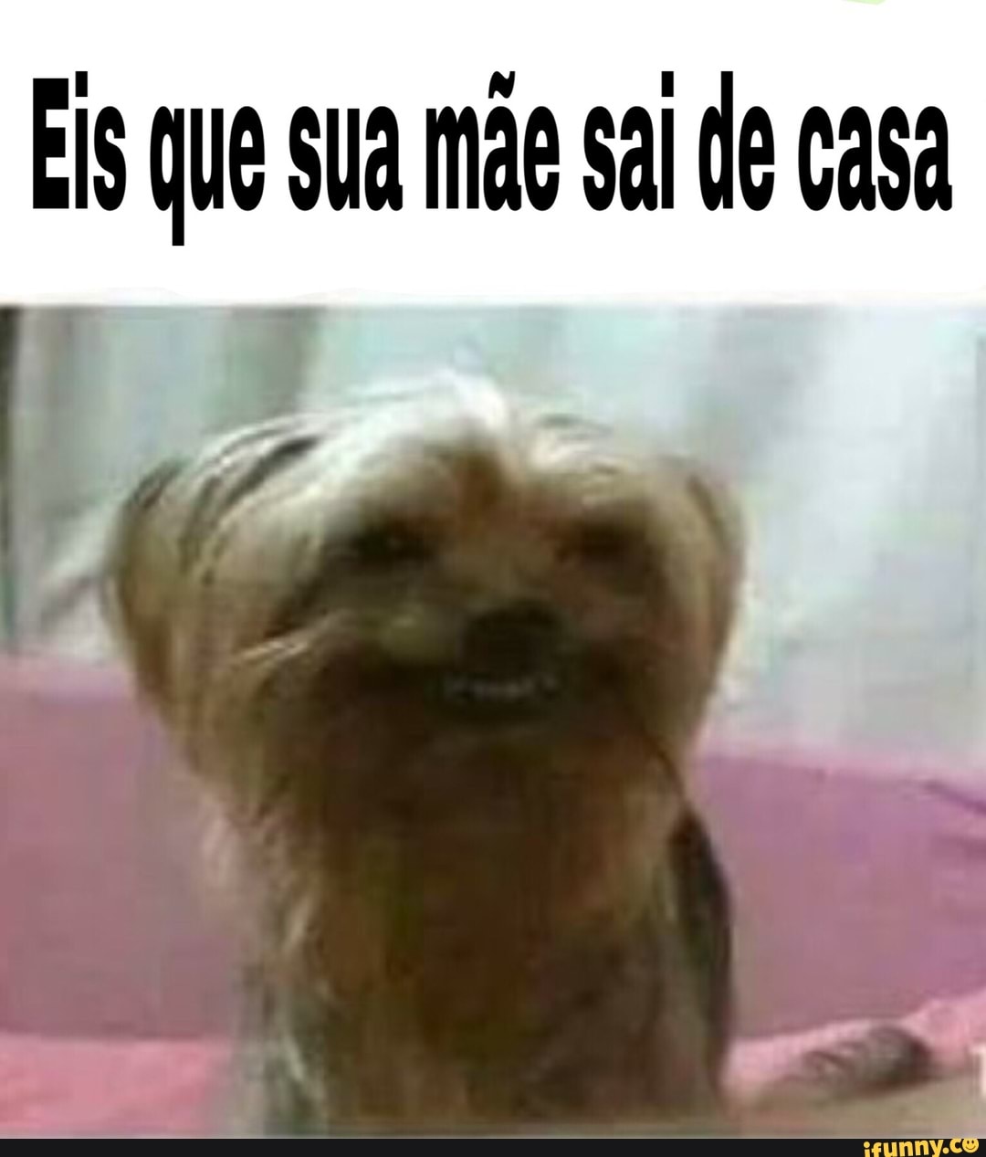 Fis que Sua mae sal de casa