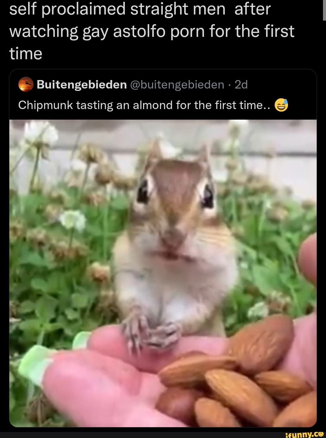 Chipmunk Porn - Self proclaimed straight men after watching gay astolfo porn for the first  time Buitengebieden @buitengebieden Chipmunk tasting an almond for the  first time.. - iFunny Brazil